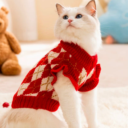 Cozy Winter Sweater