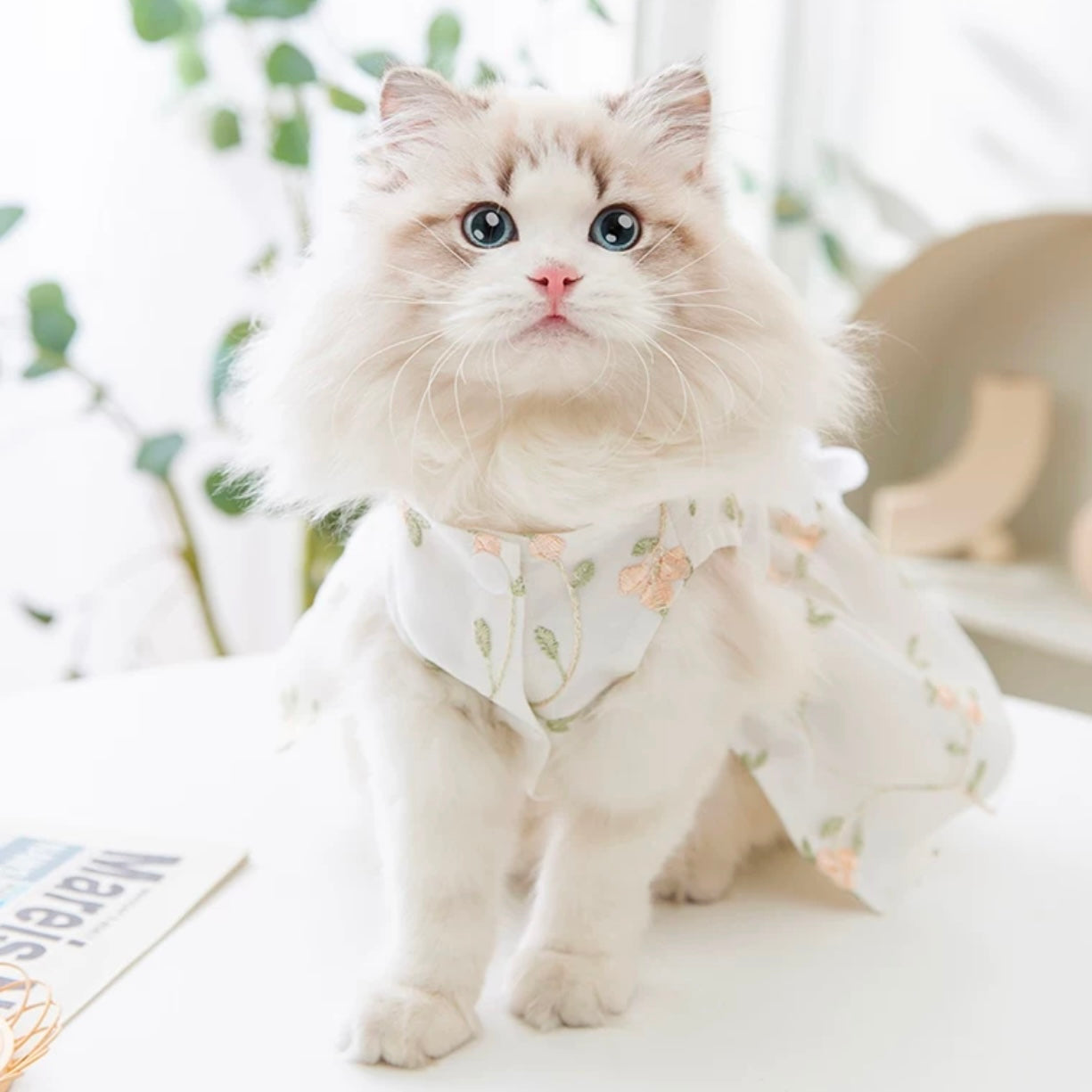 Embroidered floral dress